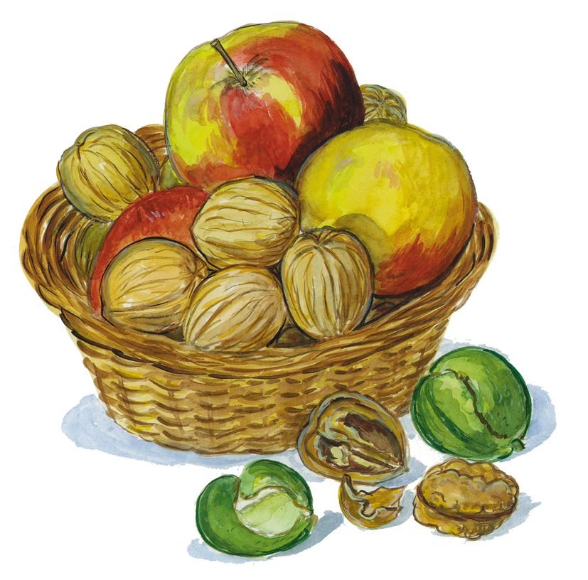 Nüsse und Äpfel