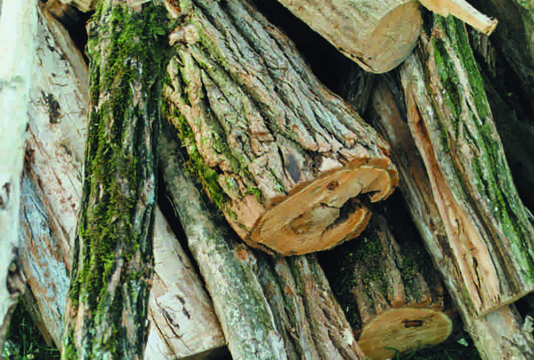 Holzscheiter