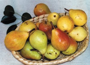 Birnen im Strohkörbchen